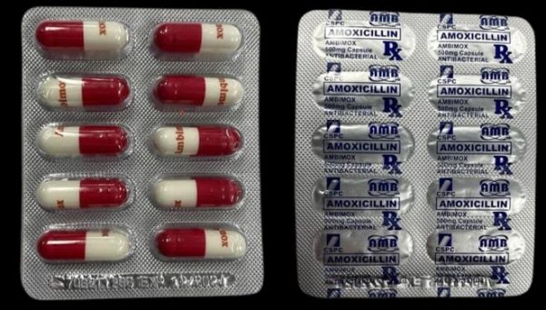 6 x Pharmaceutical Amoxicillin 500mg x 15 Capsules