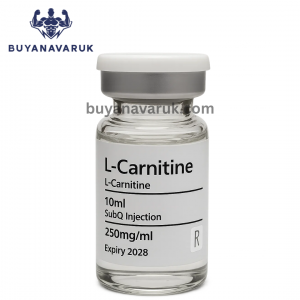 ROHM L-Carnitine Injection 250mg x 10ml