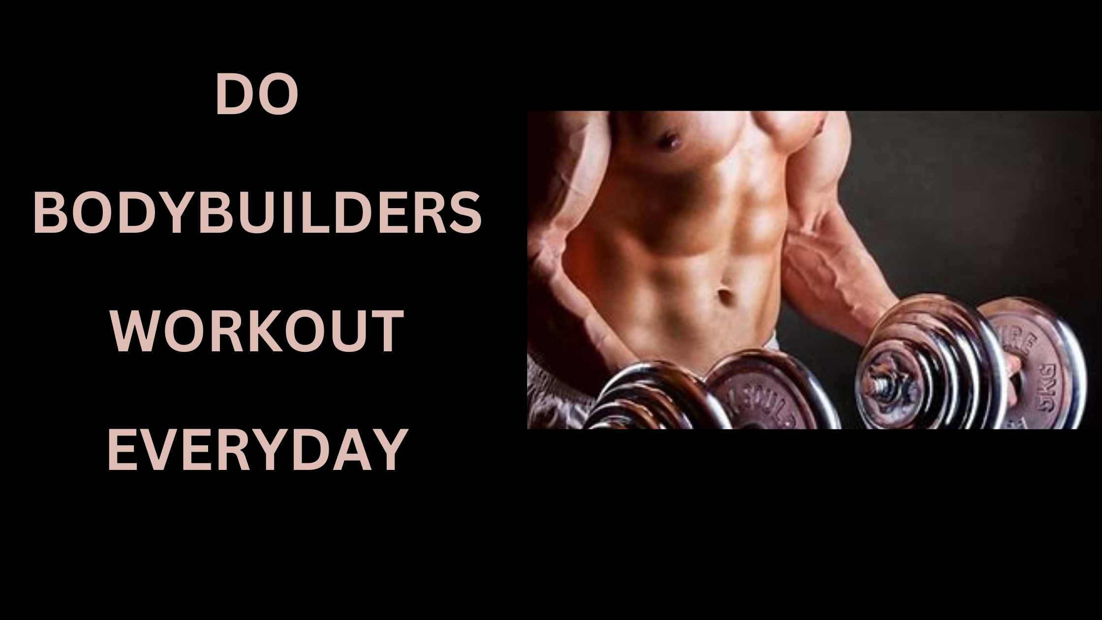 do bodybuilders workout everyday